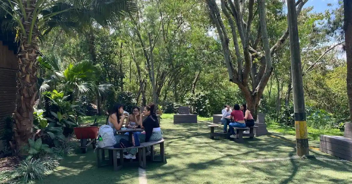 titulo