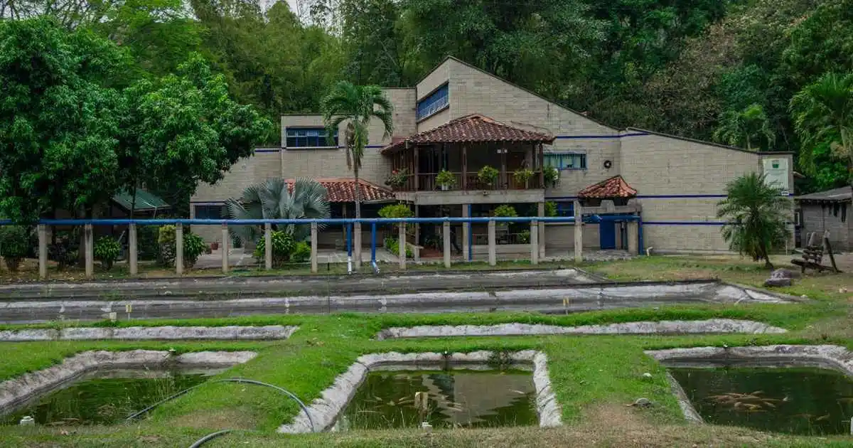 Granja John Jairo González Torres en San Jerónimo obtiene el aval de la AUNAP para el cultivo piscícola