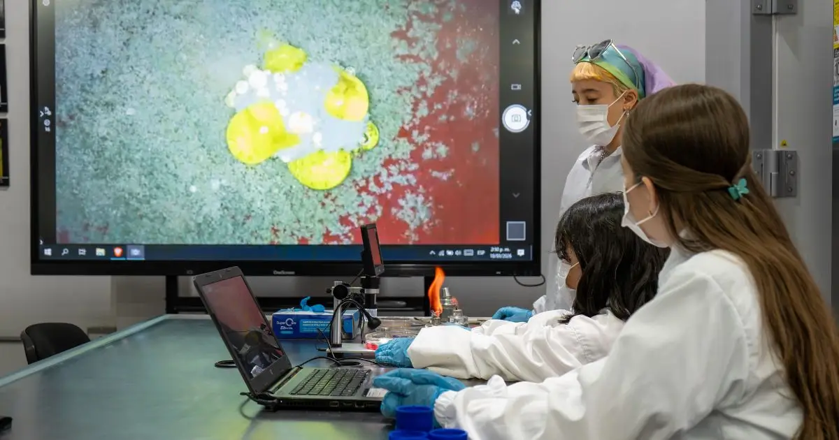 La investigación del Poli se consolida como referente de excelencia académica y científica